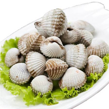 三门小海鲜 探寻“天下第一鲜”——新鲜血蚶750g的至臻美味