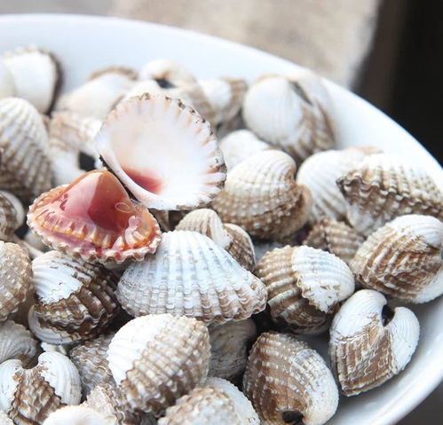 广东省最全“黑暗料理”大赏 活吞生啖，全吃过的算你赢_食材_海产_灵魂_震撼_独特的-今日有关报道